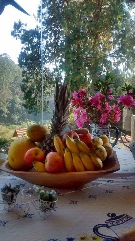 モンテ・ヴェルデ Morada Rancho Da Lua Bed & Breakfast エクステリア 写真