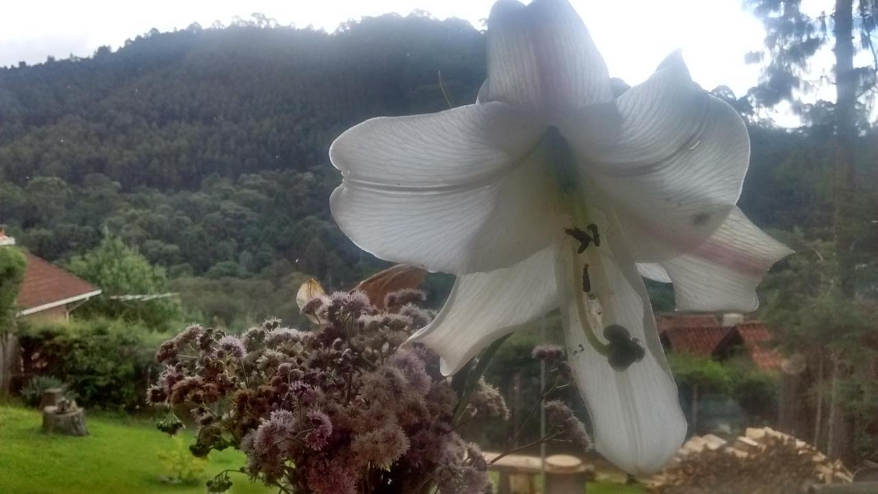 モンテ・ヴェルデ Morada Rancho Da Lua Bed & Breakfast エクステリア 写真